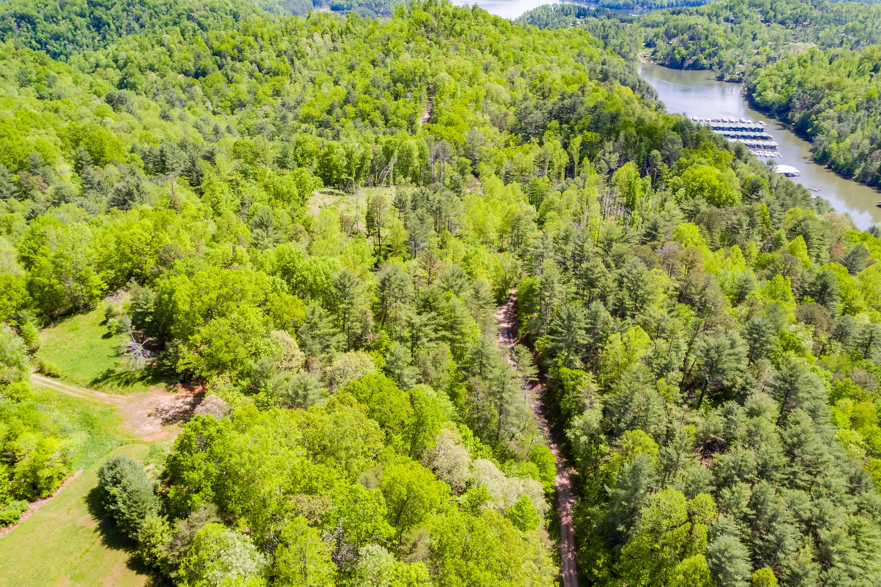 Lot 9 Canaan Road, Unit 9 Butler, TN 37640 - Photo 9 of 31 6