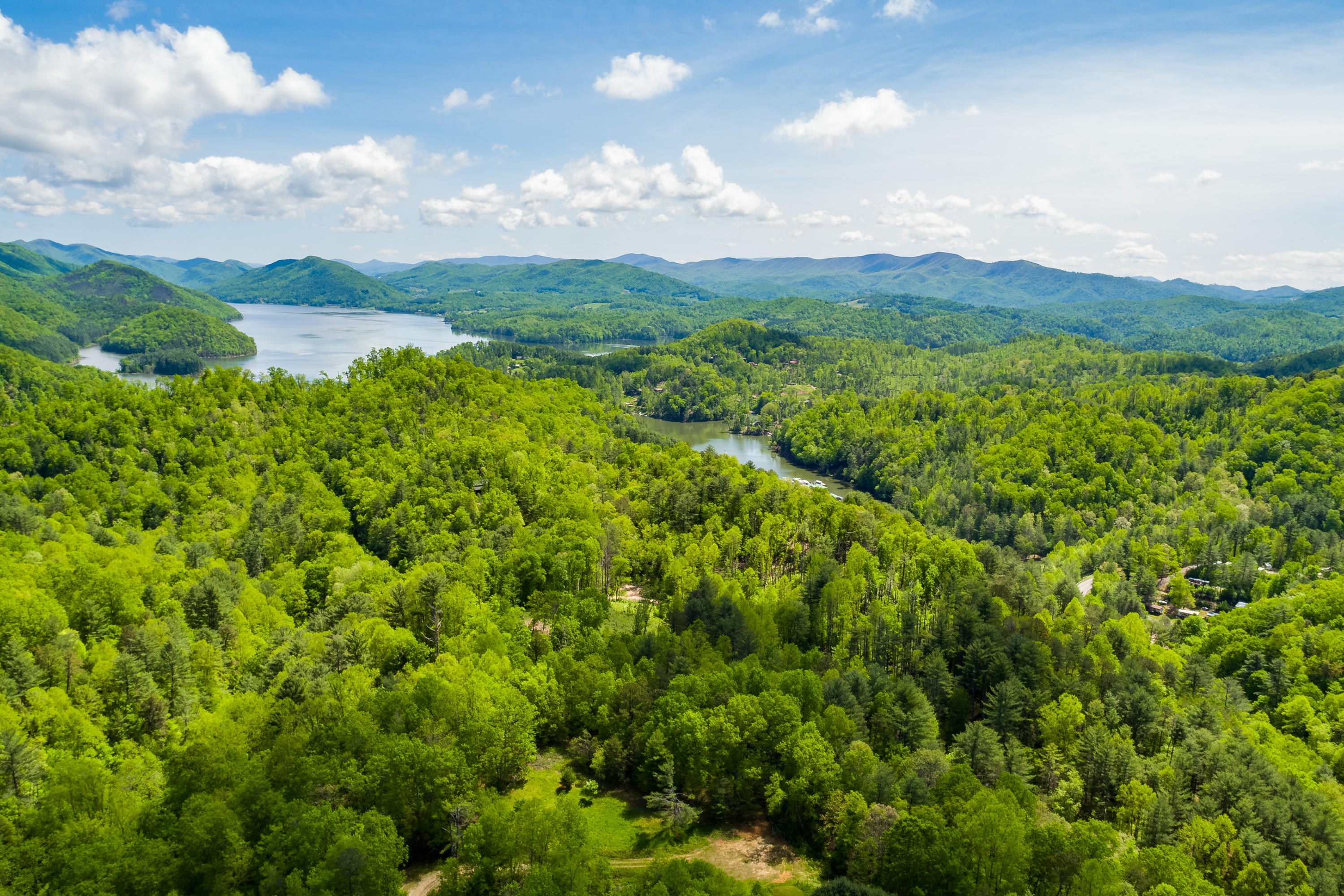 Lot 9 Canaan Road, Unit 9 Butler, TN 37640 - Photo 10 of 31 8