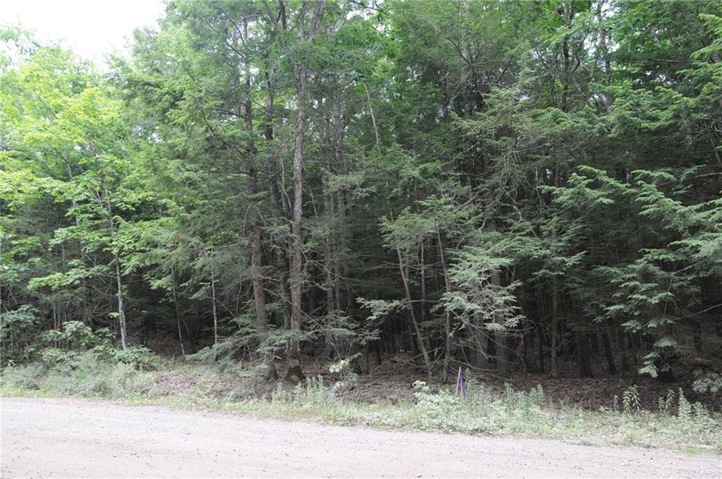 323 Cheney Woods Road Wells, ME 04090 - Photo 4 of 13 Photo