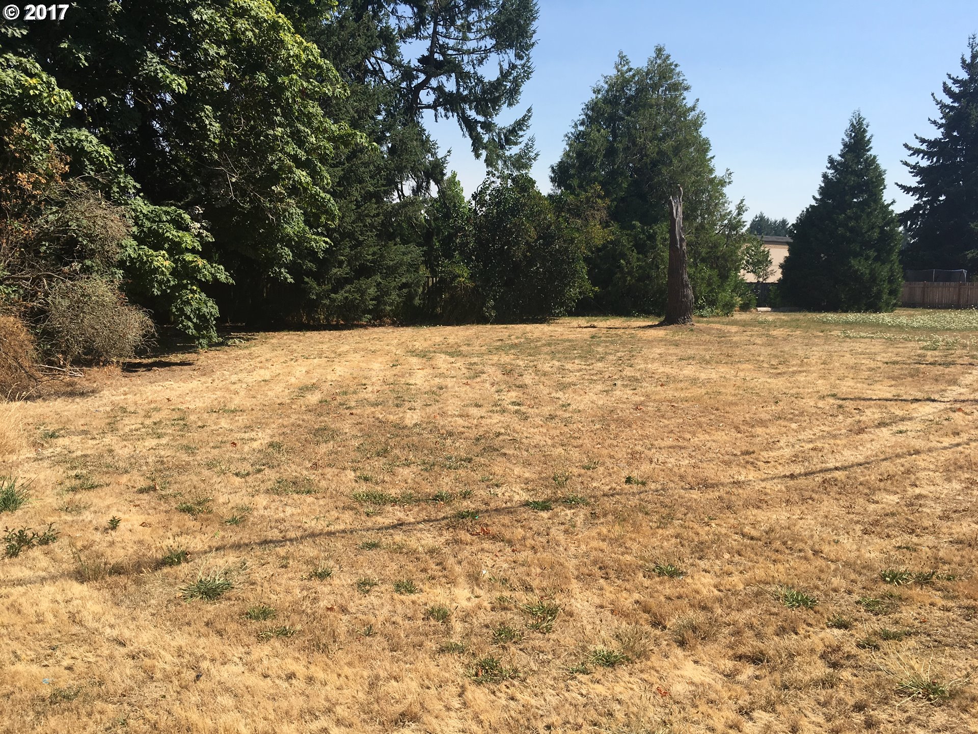 3835 River Road Eugene, OR 97404 - Photo 7 of 13