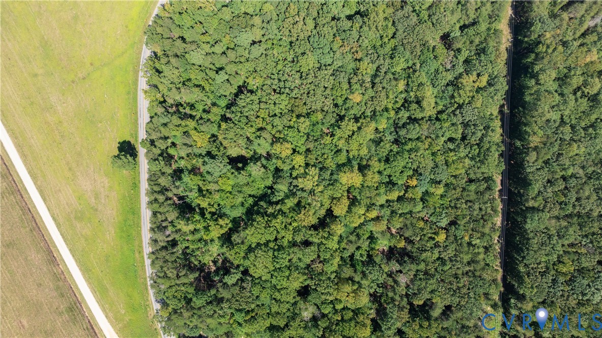 7.620-acres South Genito Road Jetersville, VA 23083 - Photo 12 of 16