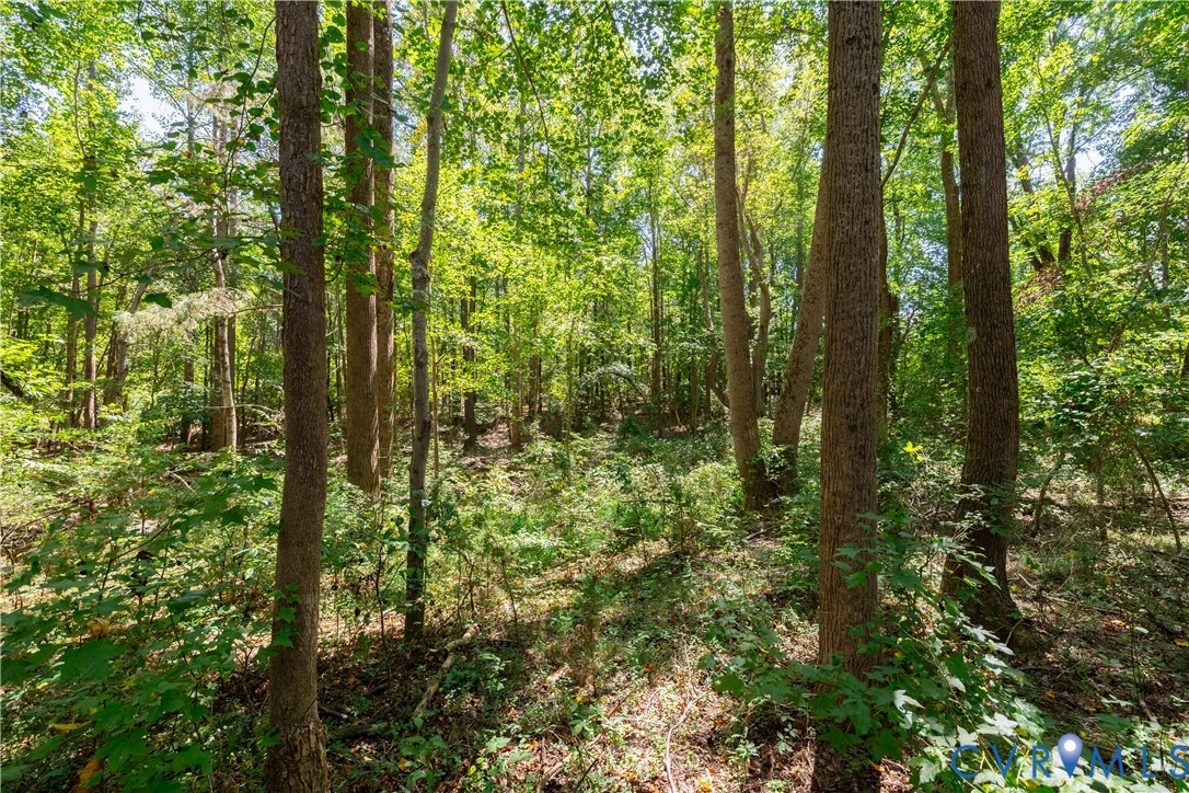 7.620-acres South Genito Road Jetersville, VA 23083 - Photo 15 of 16