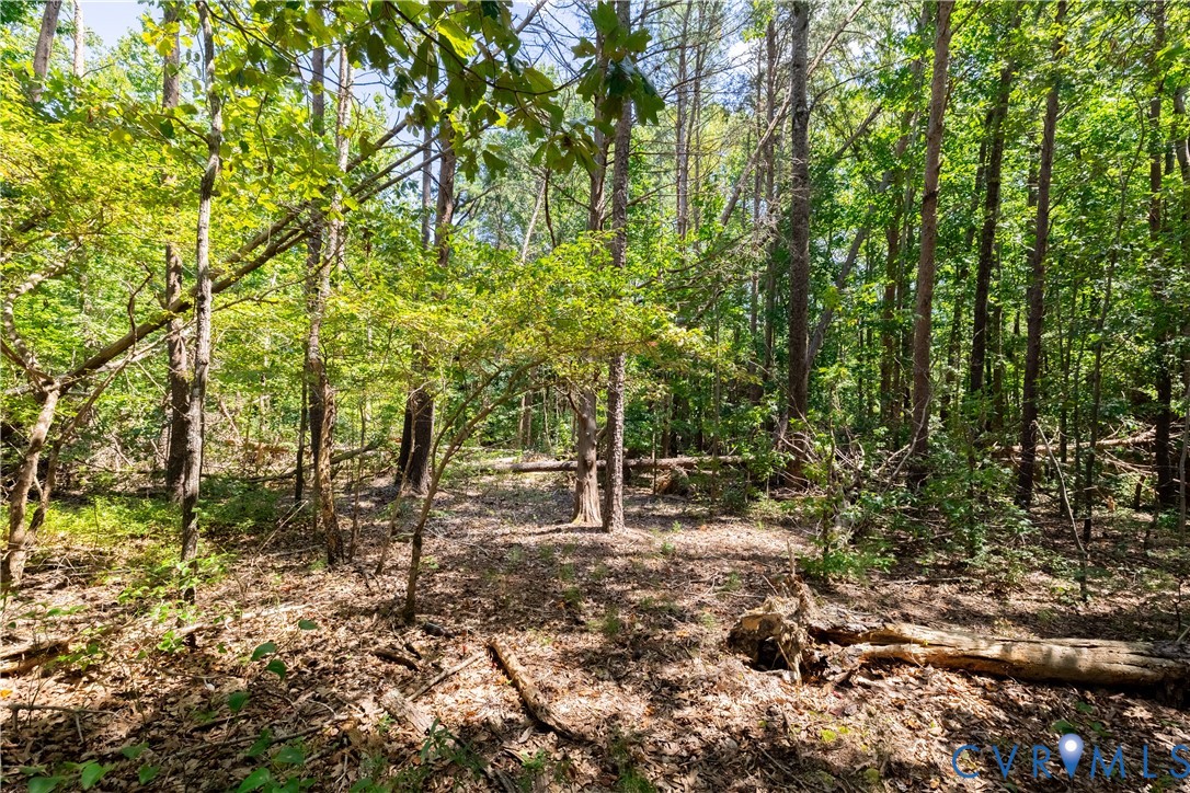 7.620-acres South Genito Road Jetersville, VA 23083 - Photo 16 of 16