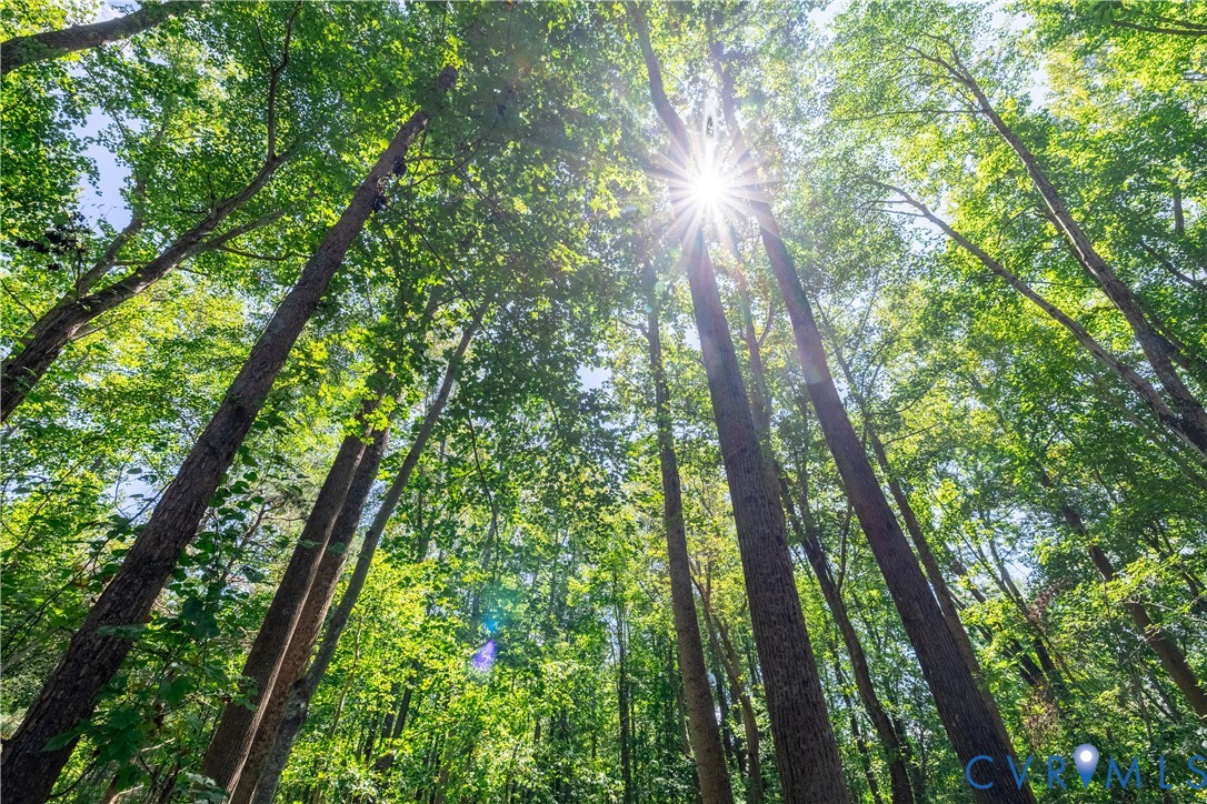 7.620-acres South Genito Road Jetersville, VA 23083 - Photo 3 of 16