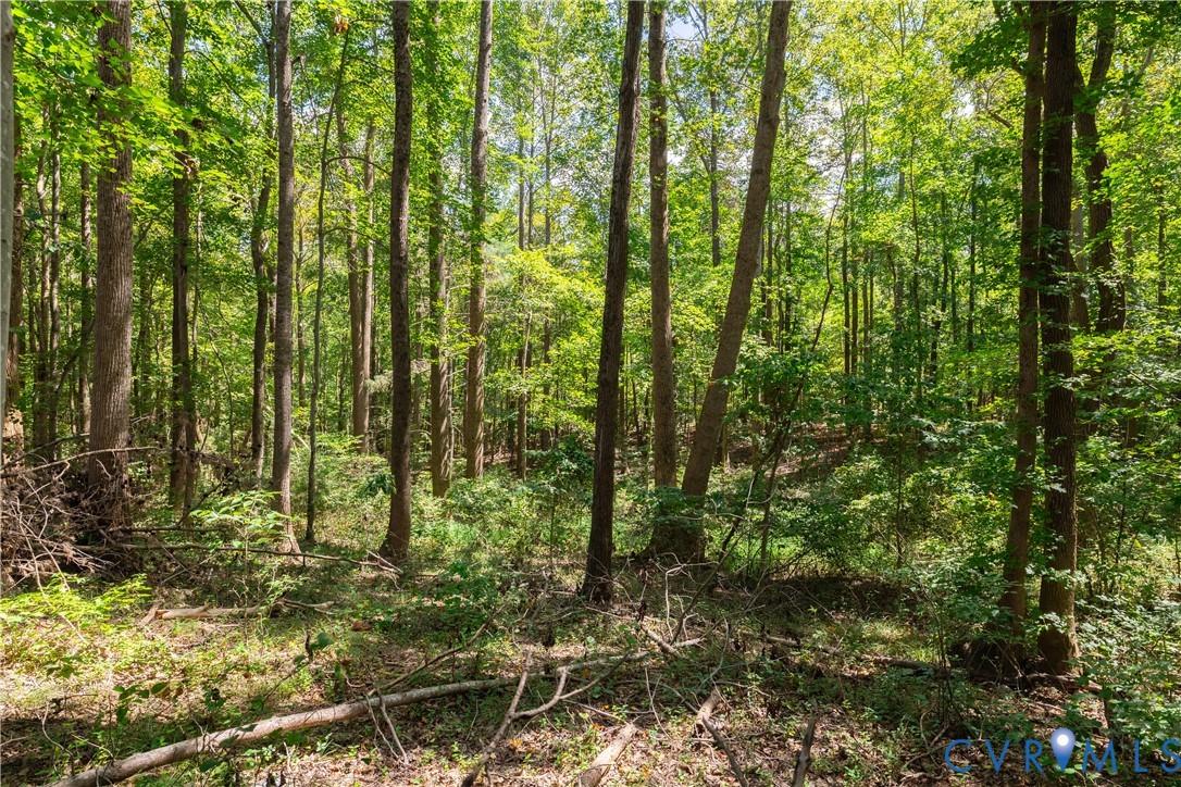 7.620-acres South Genito Road Jetersville, VA 23083 - Photo 4 of 16