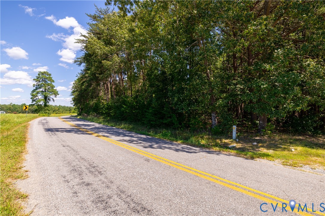 7.620-acres South Genito Road Jetersville, VA 23083 - Photo 6 of 16