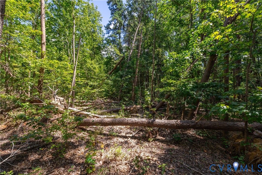 7.620-acres South Genito Road Jetersville, VA 23083 - Photo 7 of 16