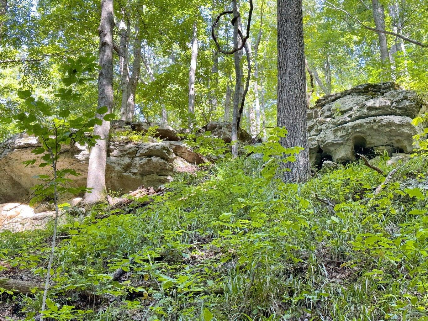 9999 Sunrise Valley Road, Unit TRACT 3 Irvine, KY 40336 - Photo 8 of 24 WW 11