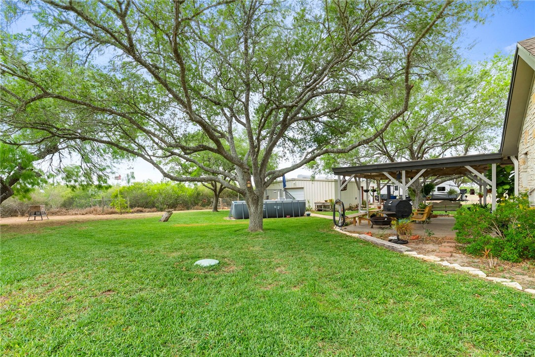 345 Trail Ridge Drive Sandia, TX 78383 - Photo 8 of 40 Lush yard