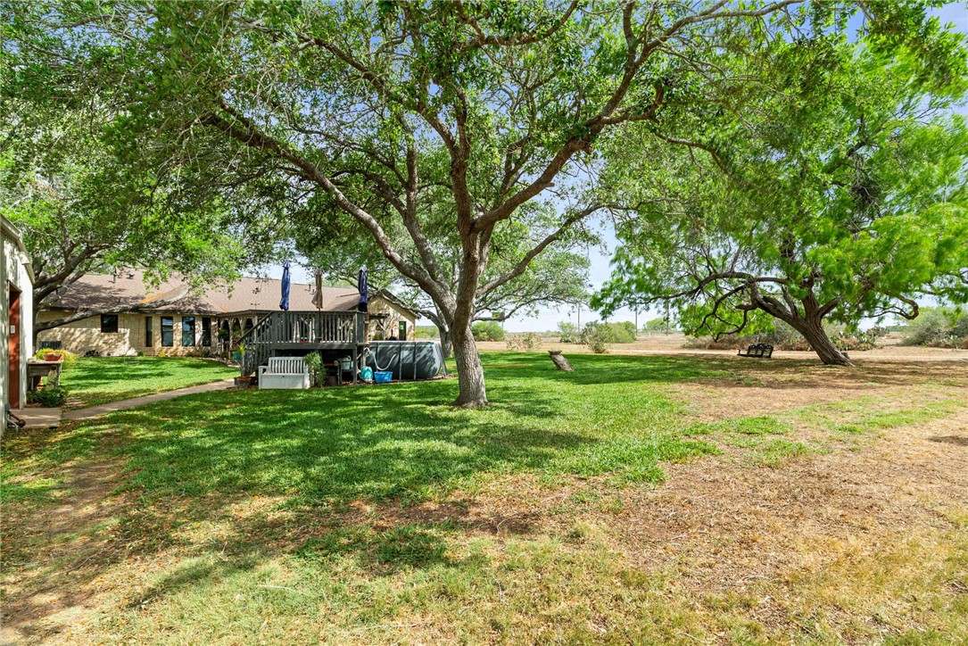 345 Trail Ridge Drive Sandia, TX 78383 - Photo 9 of 40 Beautiful mature trees