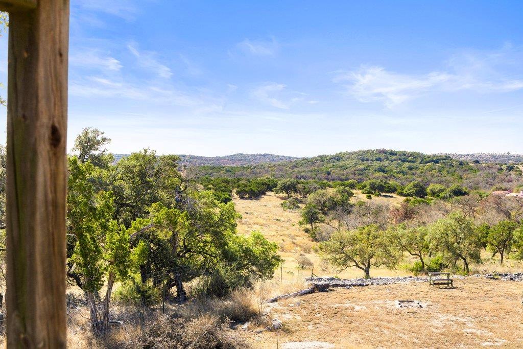 1292 Upper Turtle Creek Road Kerrville, TX 78028 - Photo 9 of 65