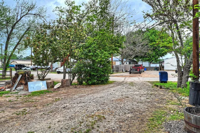 a view of a park with large trees