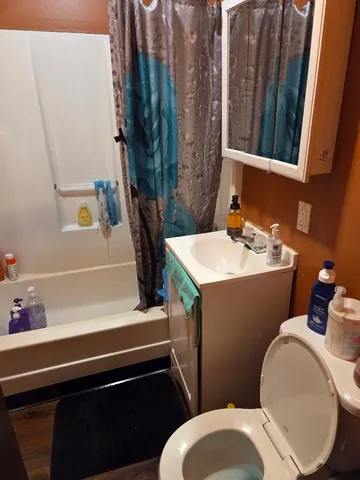 a bathroom with a sink a toilet and curtain