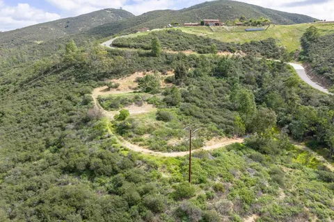 a view of a trees with a plants