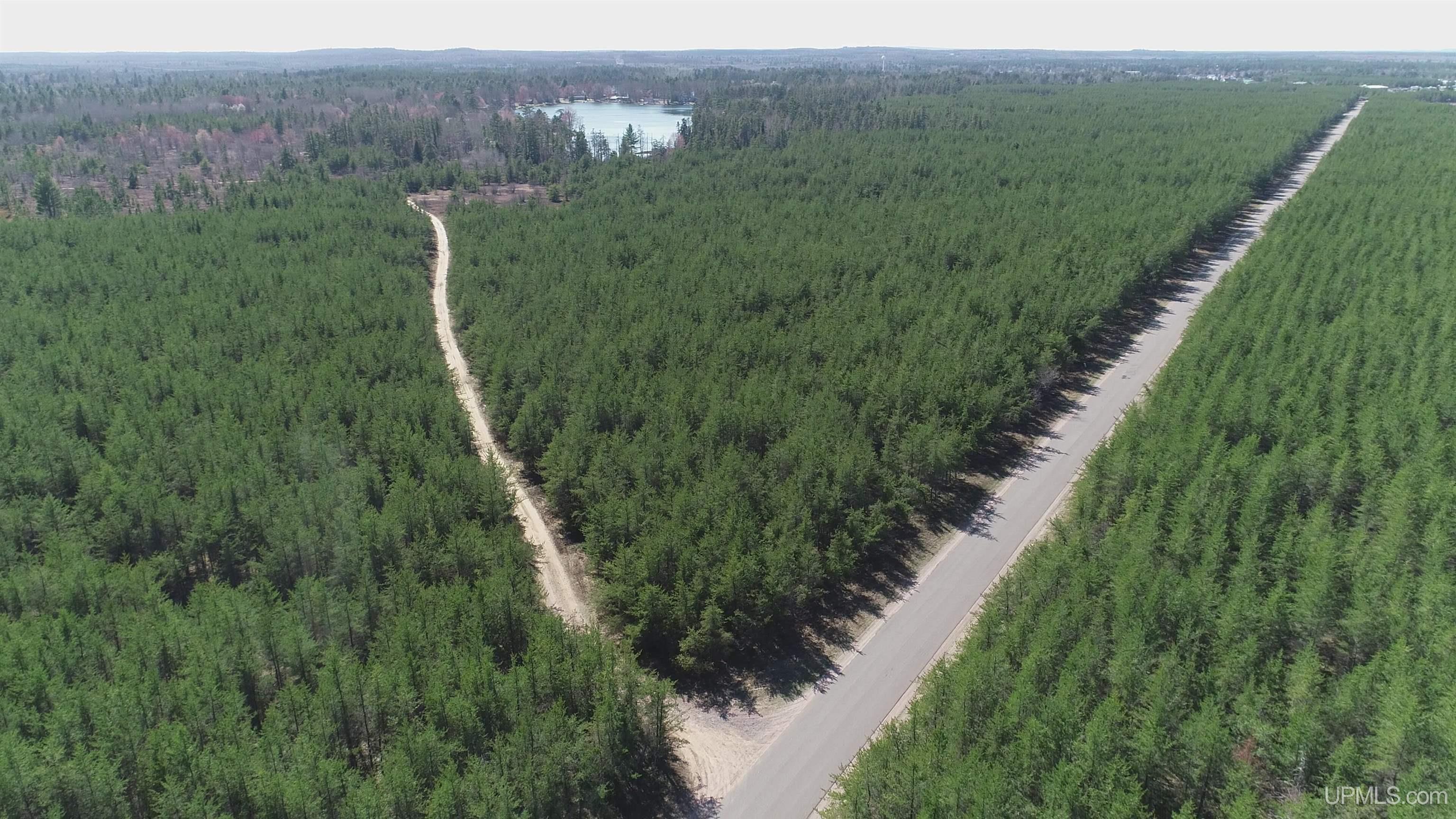 2 Rice Lake Road Gwinn, MI 49841 - Photo 3 of 24