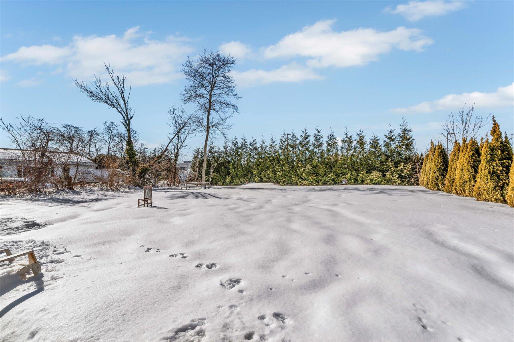 97 Bassett Lane Hyannis, MA 02601 - Photo 20 of 24 a view of a dry yard with trees
