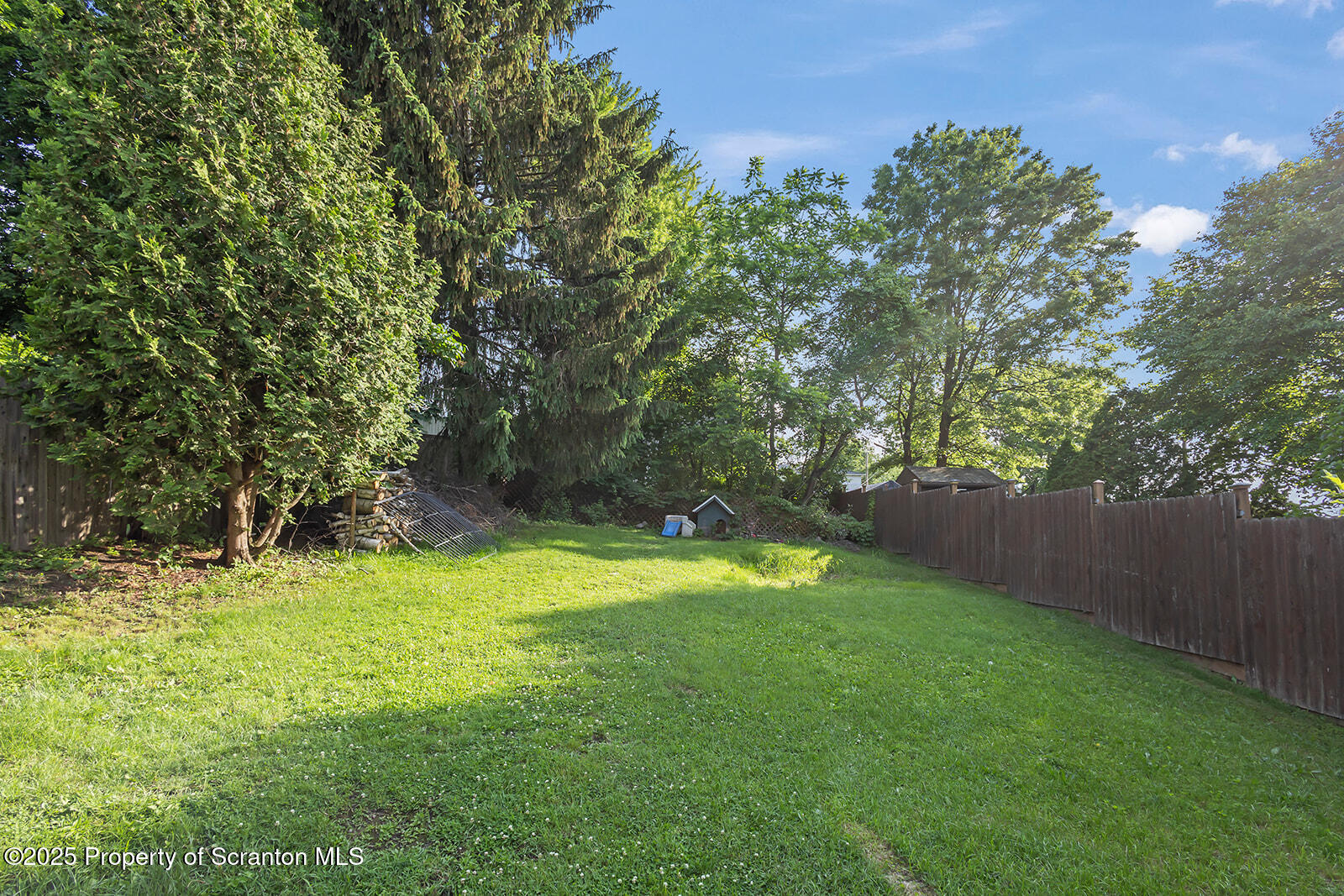 818 Cherry Street Scranton, PA 18505 - Photo 26 of 29 H27A9370_websize