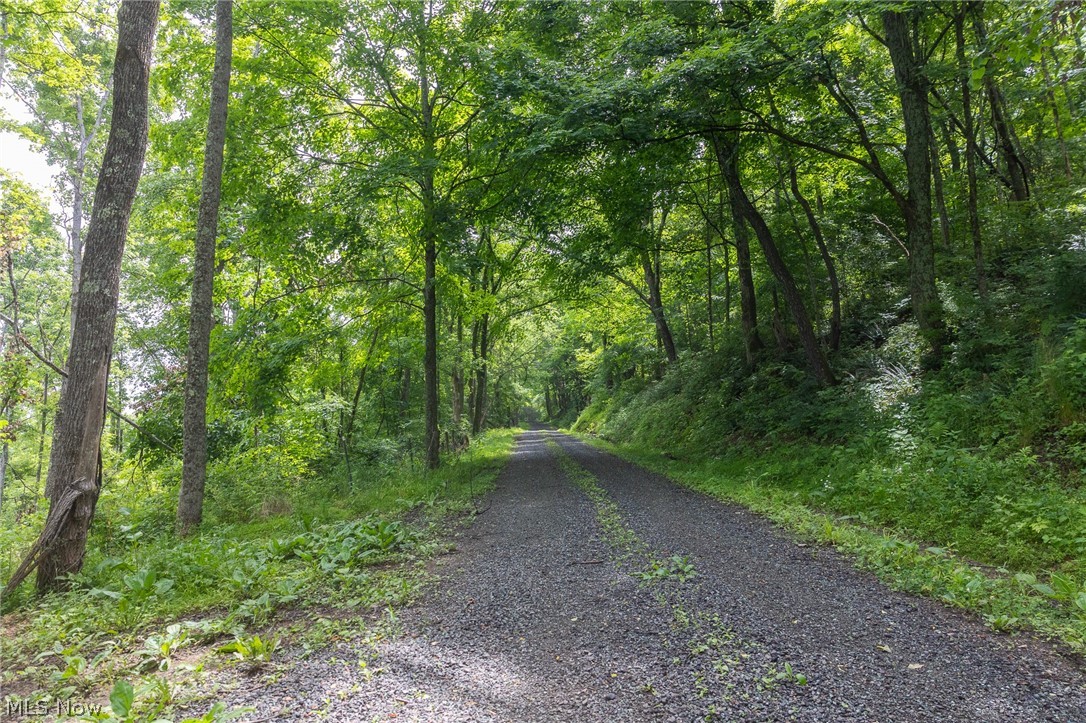 Kinnen Road Caldwell, OH 43724 - Photo 11 of 37