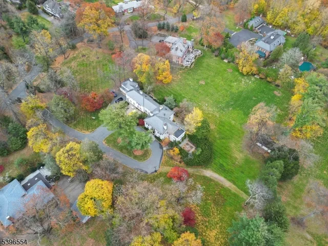 a view of a tree with yard