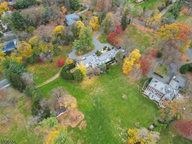 a picture of flowers