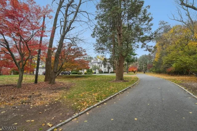 a view of outdoor space and yard