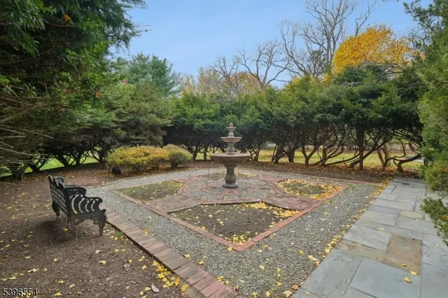 a view of a park with trees