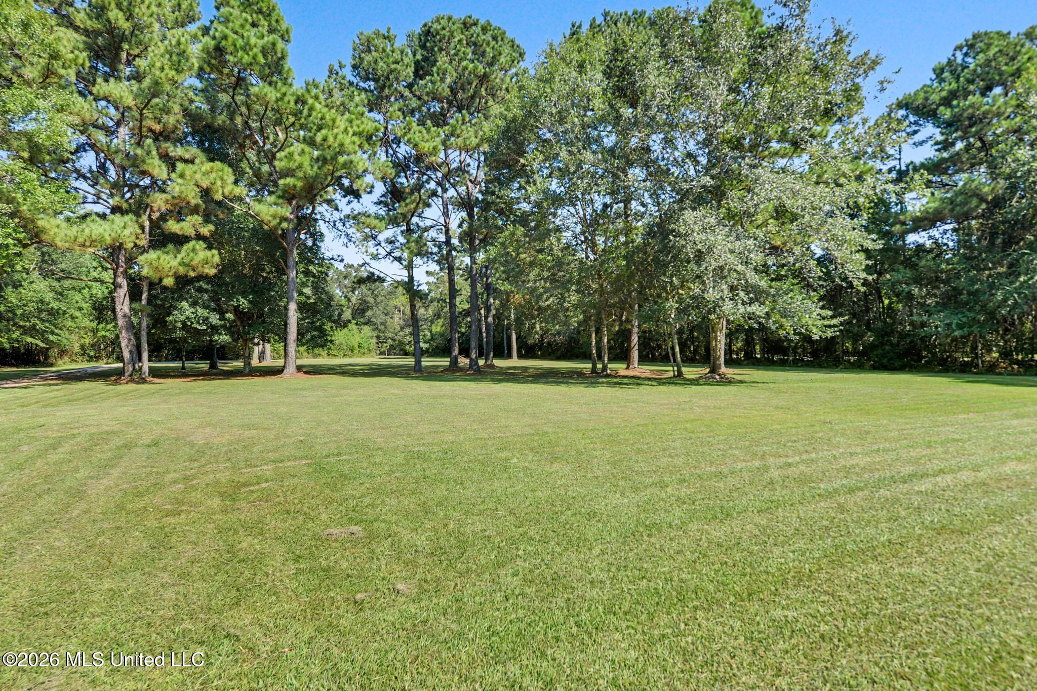 6211 Crump Road Kiln, MS 39556 - Photo 45 of 51 Front yard