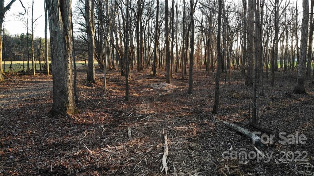 5819 Stack Road, Unit 2 Monroe, NC 28112 - Photo 36 of 39 a view of outdoor space with lots of trees
