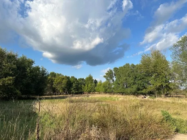 $365,000 | 23304 Highway 29, Henning, MN 56551