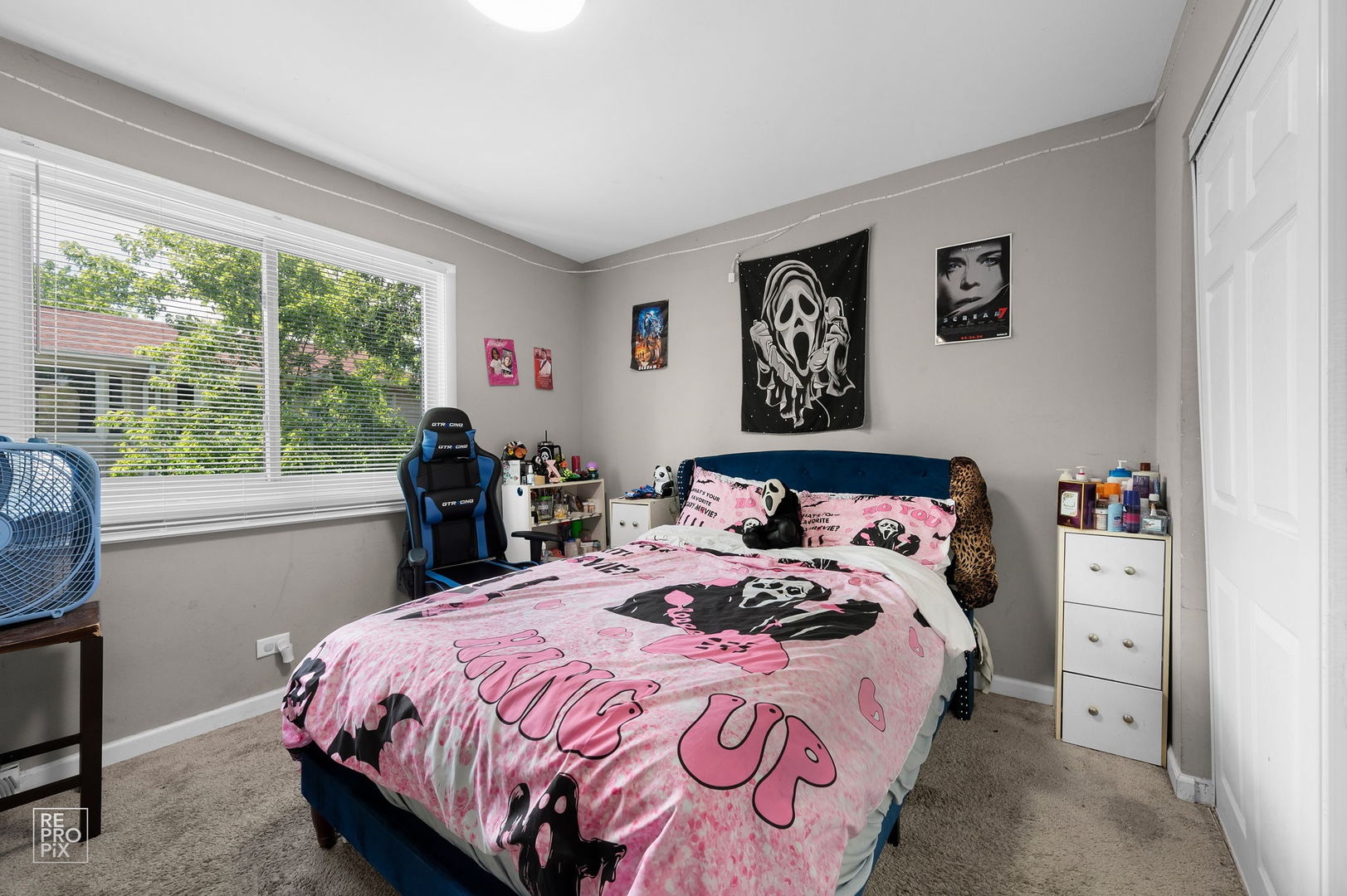 549 Norman Road Bolingbrook, IL 60440 - Photo 12 of 14