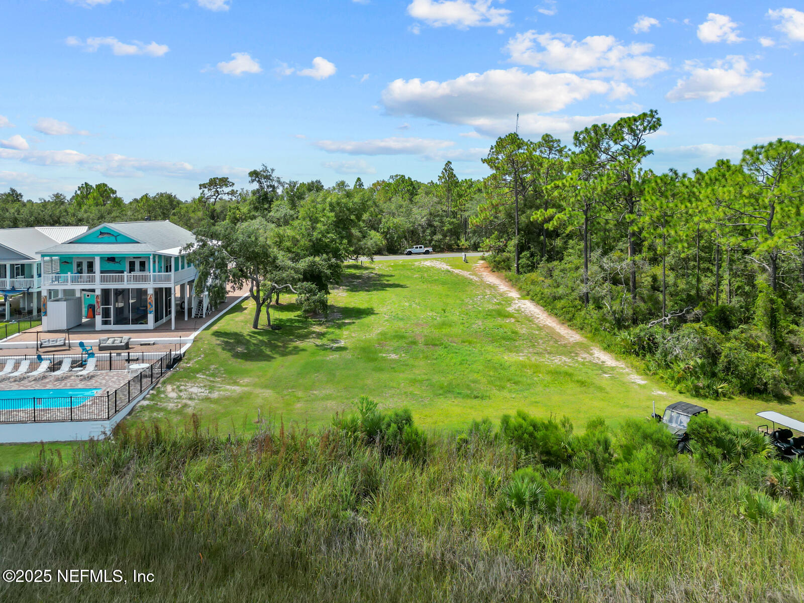 0 Southwest 279th Avenue Steinhatchee, FL 32359 - Photo 7 of 20 a view of a swimming pool with plants and large trees