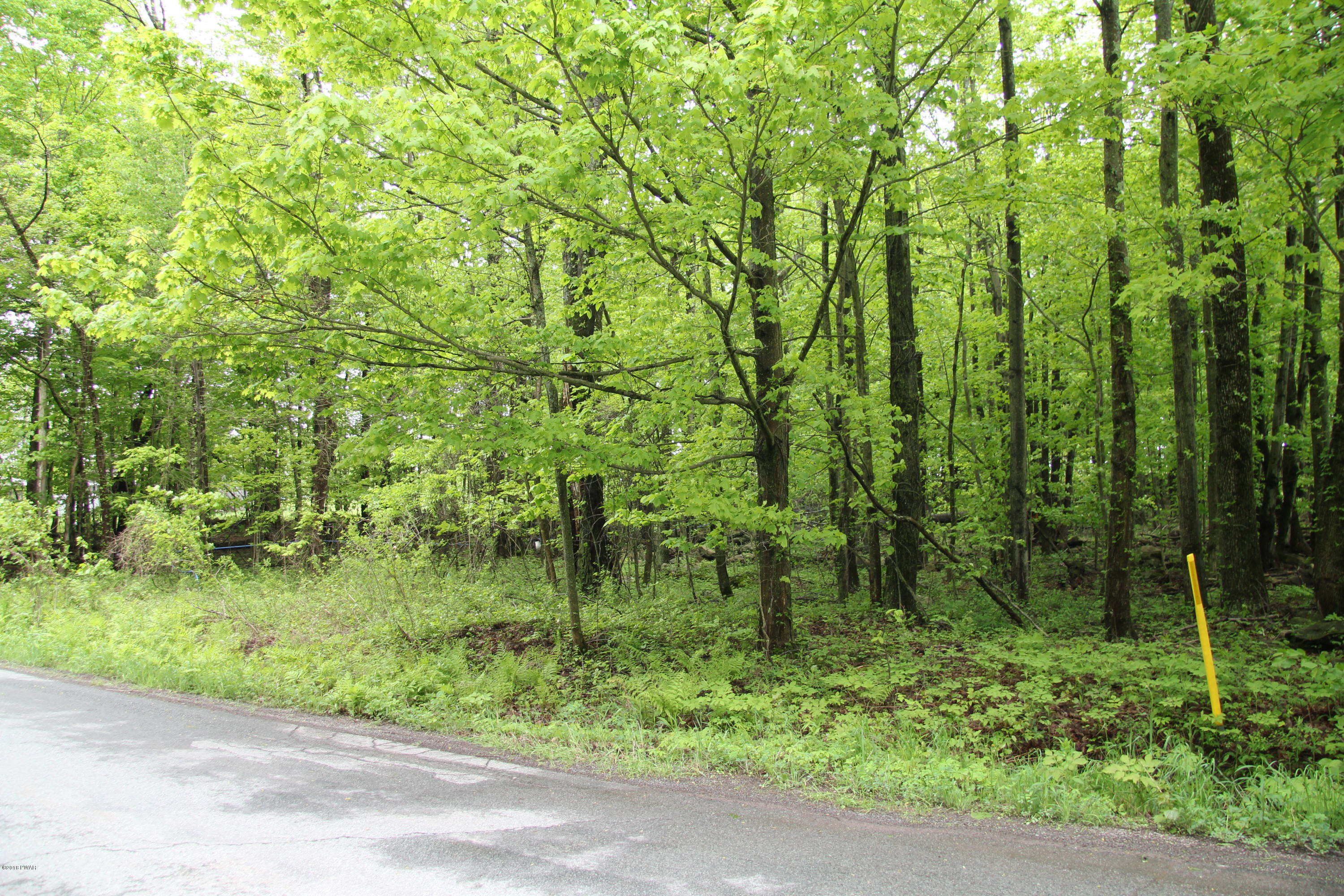 Old Racht Road Waymart, PA 18472 - Photo 6 of 7 View from Road