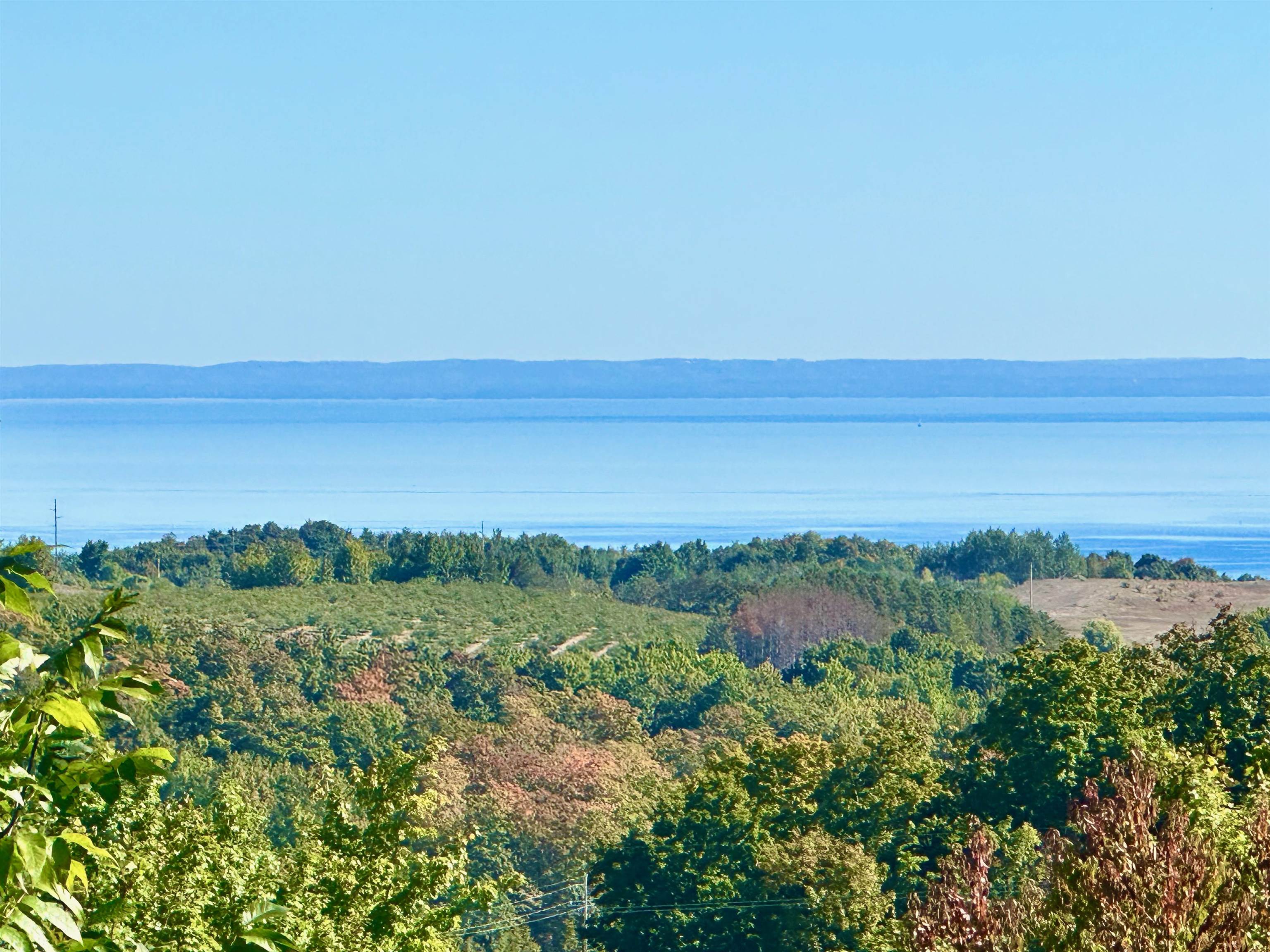 9224 East Duck Lake Road Suttons Bay, MI 49682 - Photo 6 of 63