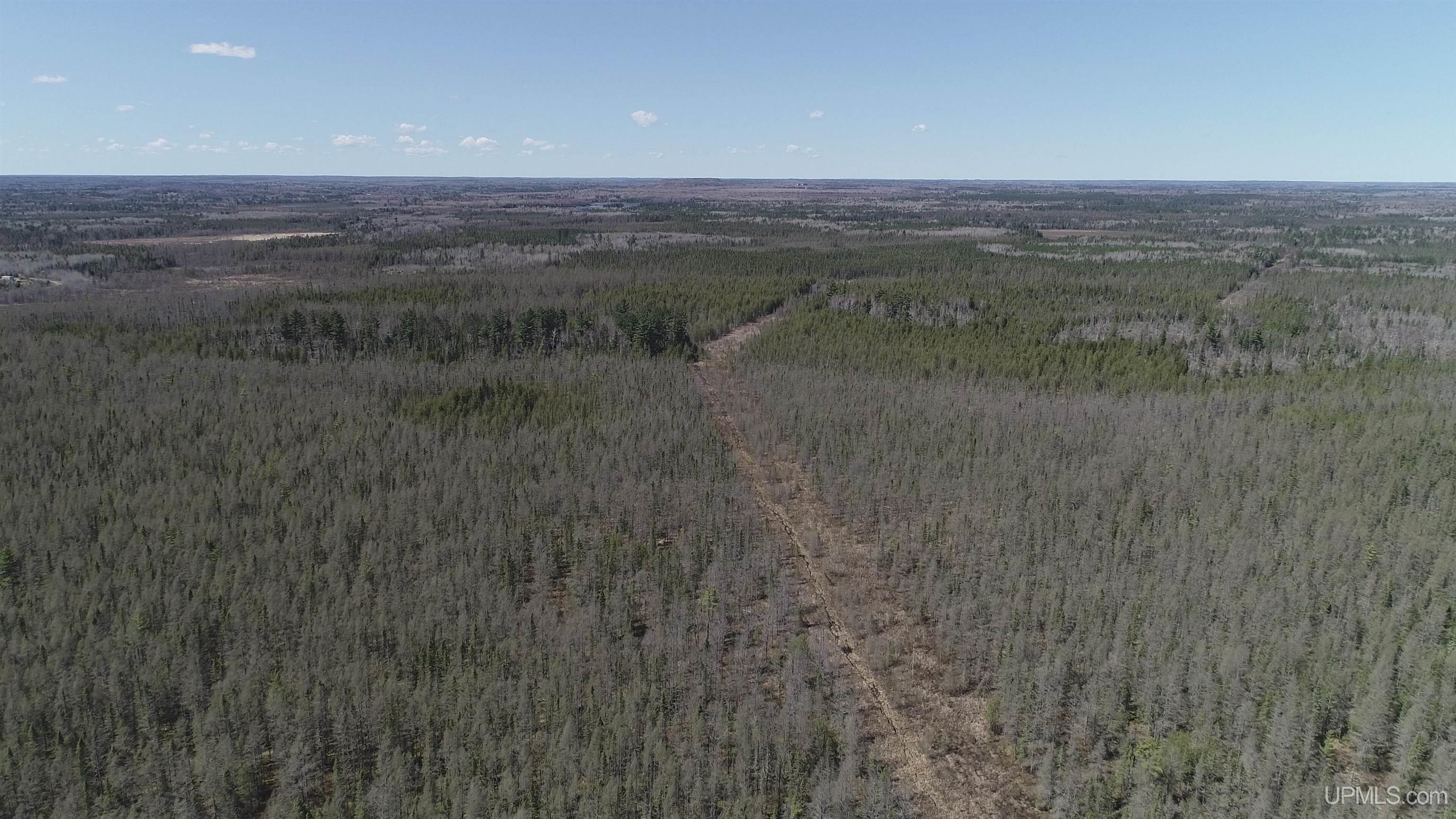 252-acres 252-acres Helen Lake Road Ishpeming, MI 49849 - Photo 5 of 11