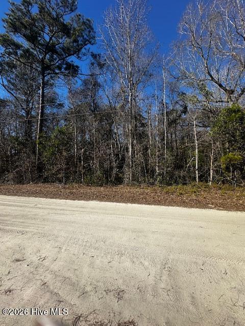 289 Tuliptree Road Southwest Shallotte, NC 28470 - Photo 2 of 2 01