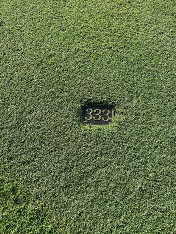 a very nice looking room with a large mirror and a potted plant