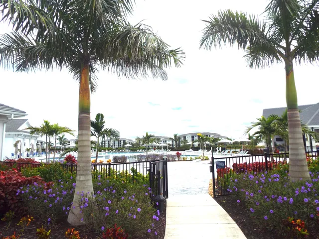 a view of a swimming pool with a yard