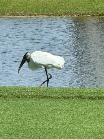 $454,000 | 5721 Oakmont Court, Unit 9022, Ave Maria, FL 34142