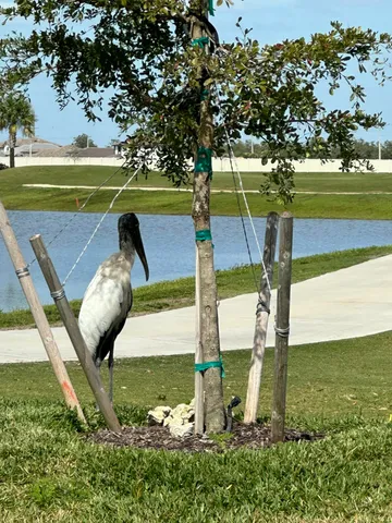 $454,000 | 5721 Oakmont Court, Unit 9022, Ave Maria, FL 34142