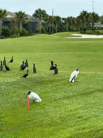 $454,000 | 5721 Oakmont Court, Unit 9022, Ave Maria, FL 34142