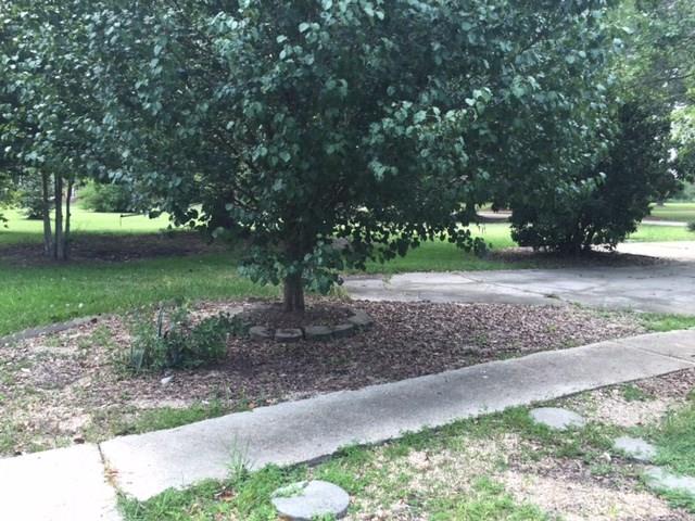 46274 Kin Tally Drive Hammond, LA 70401 - Photo 23 of 25 Gallery Image 23