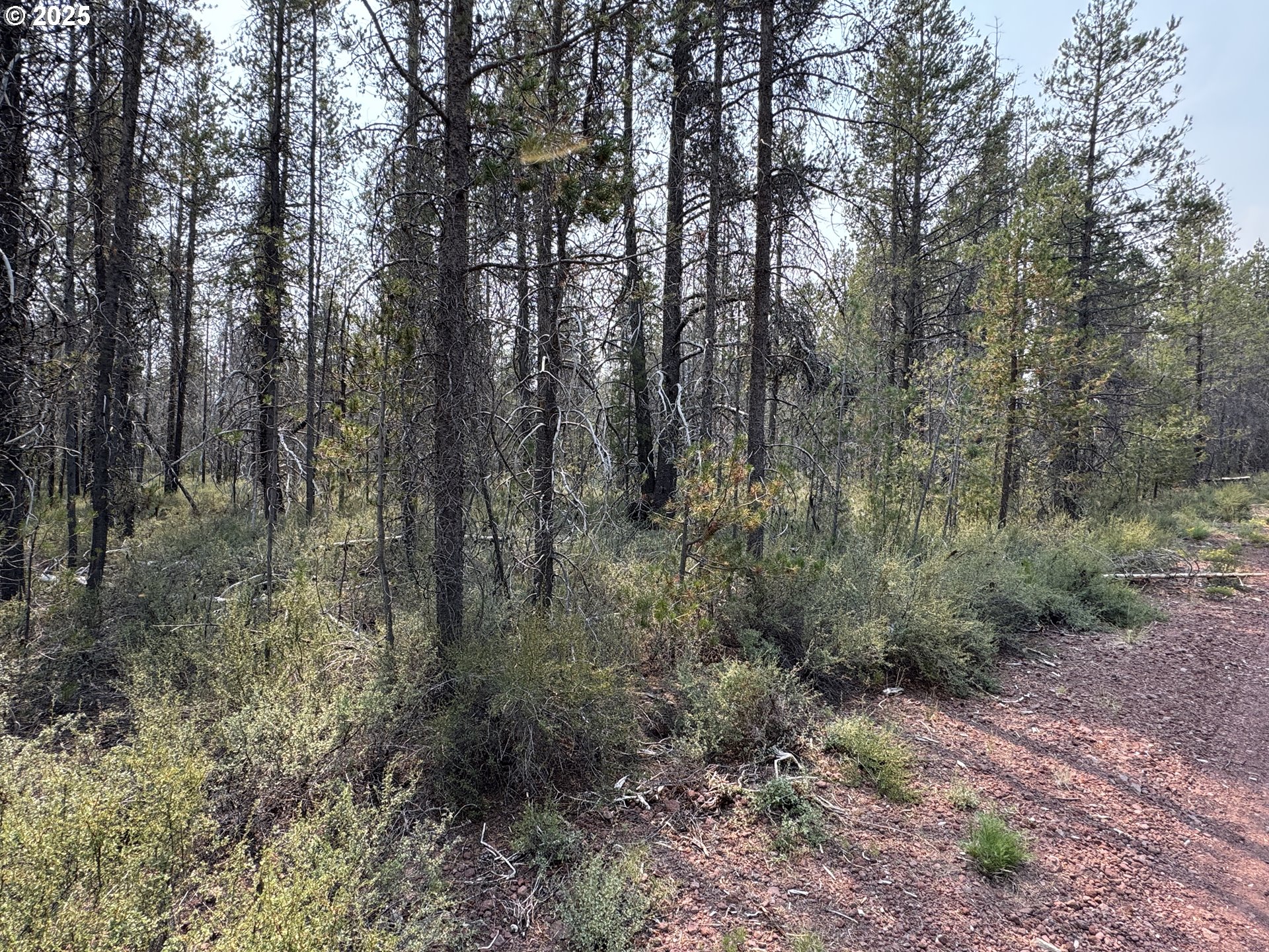 Cloudcap Drive, Unit 1 Chiloquin, OR 97624 - Photo 15 of 23