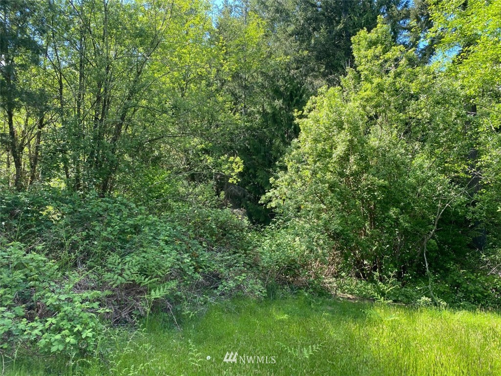 6618 Sidney Road Southwest Port Orchard, WA 98367 - Photo 2 of 9 Gallery Image 2
