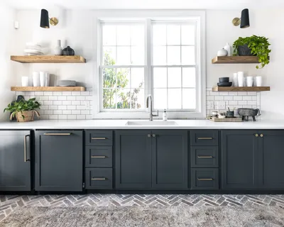 a view of a garden with plants and large trees