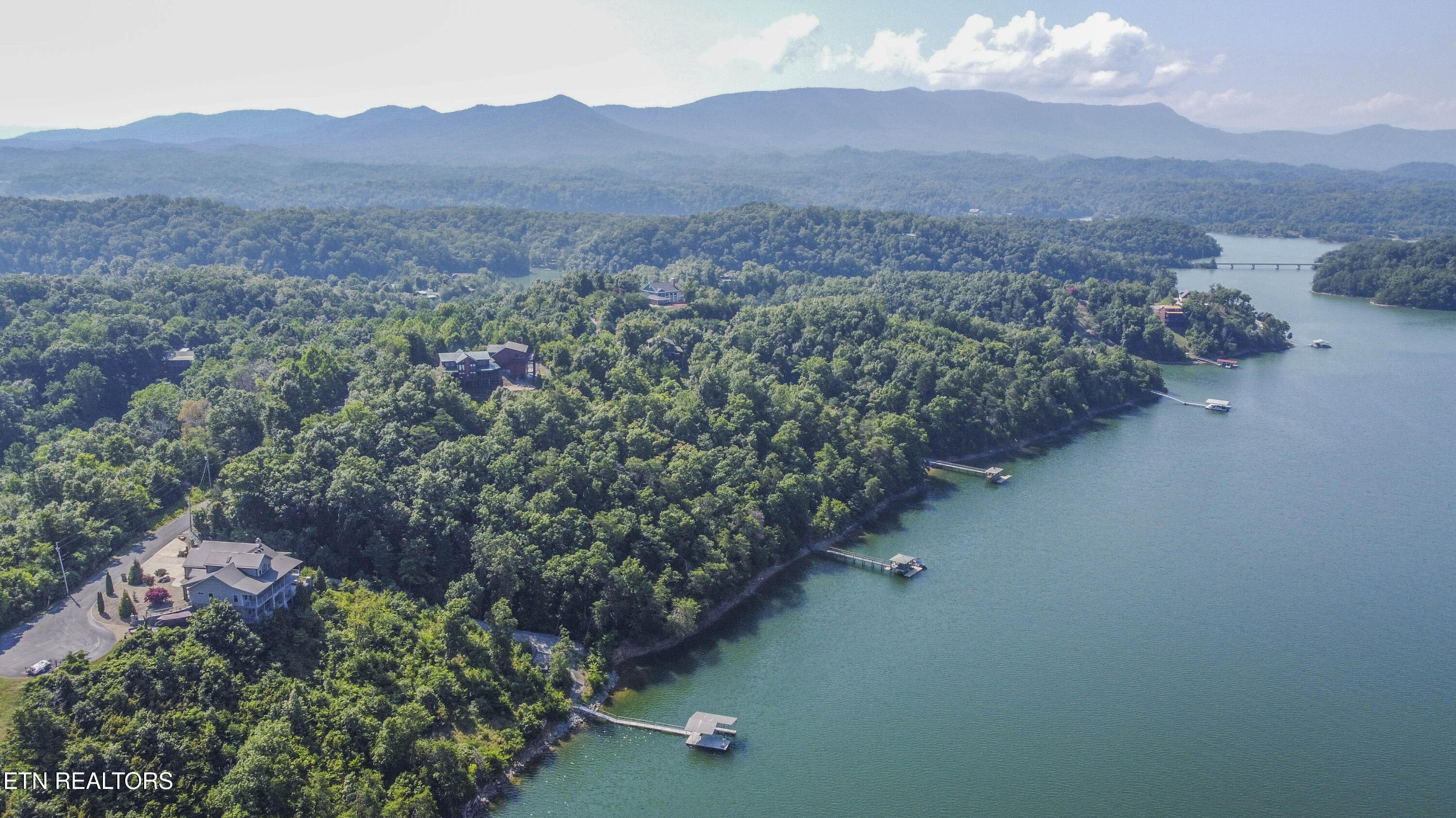 Fishtail Cove Dandridge, TN 37725 - Photo 11 of 15 drone 9_1