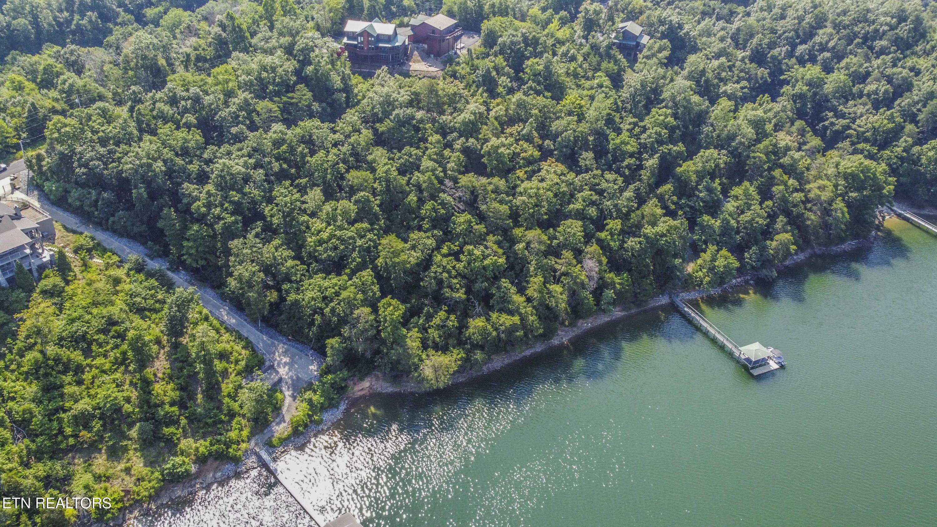 Fishtail Cove Dandridge, TN 37725 - Photo 13 of 15 drone 7_1