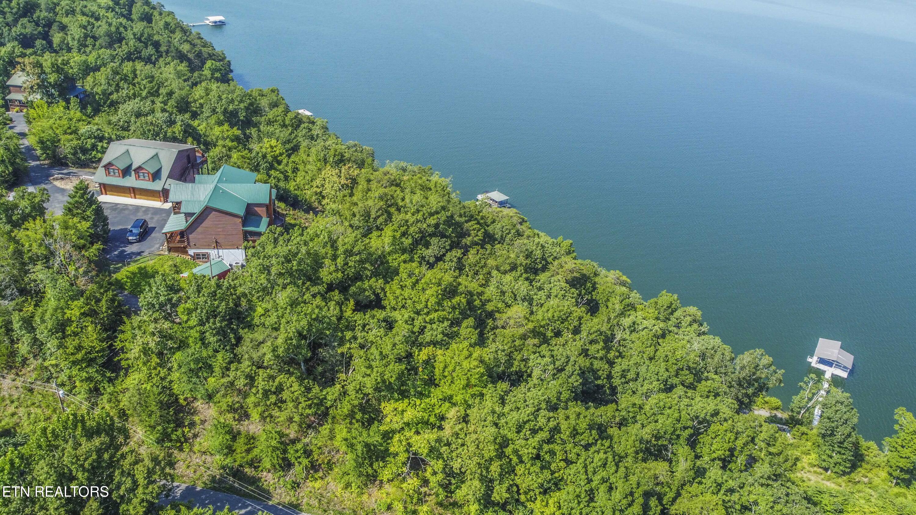 Fishtail Cove Dandridge, TN 37725 - Photo 15 of 15 drone 12_1