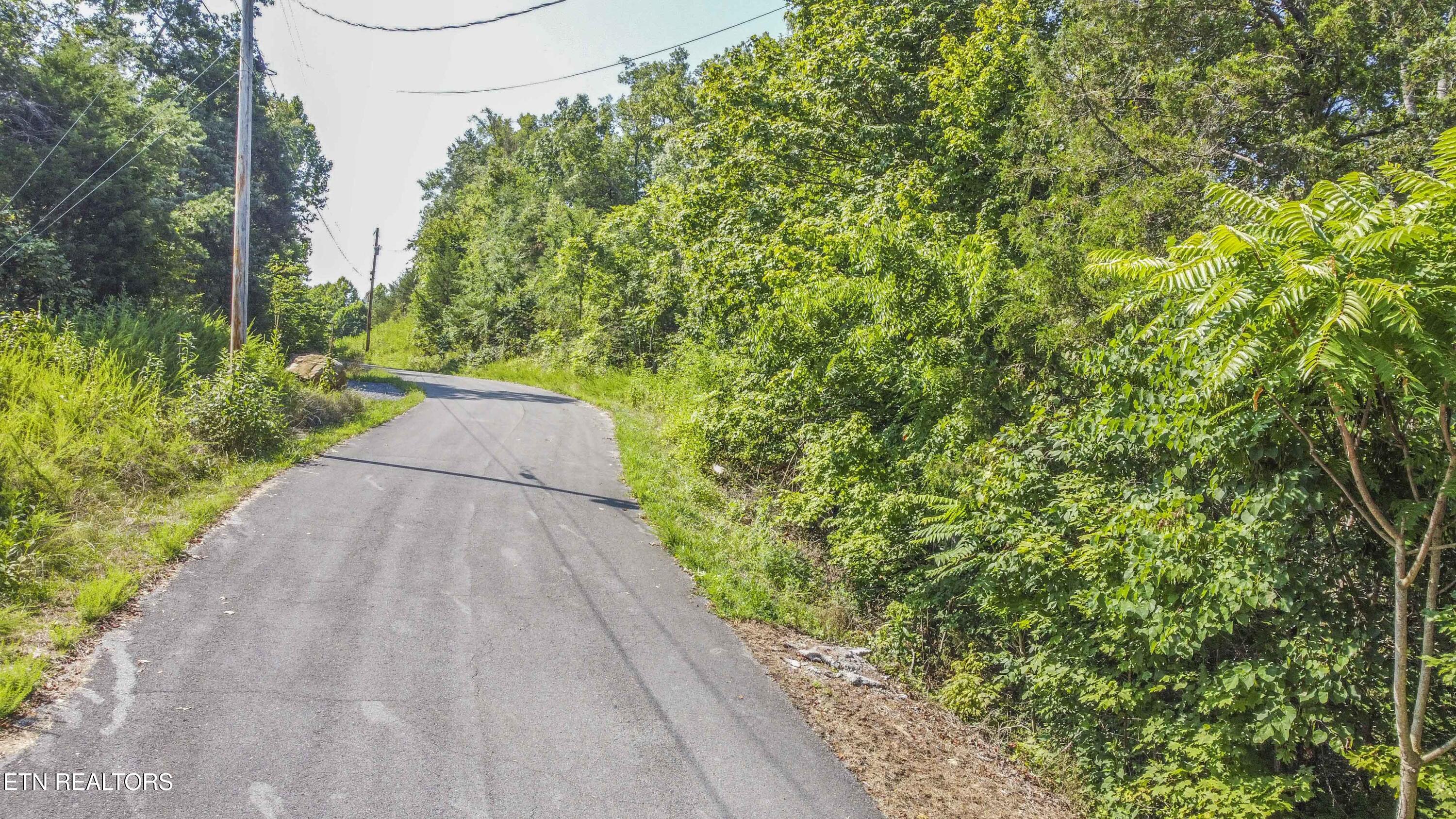 Fishtail Cove Dandridge, TN 37725 - Photo 3 of 15 ground_1