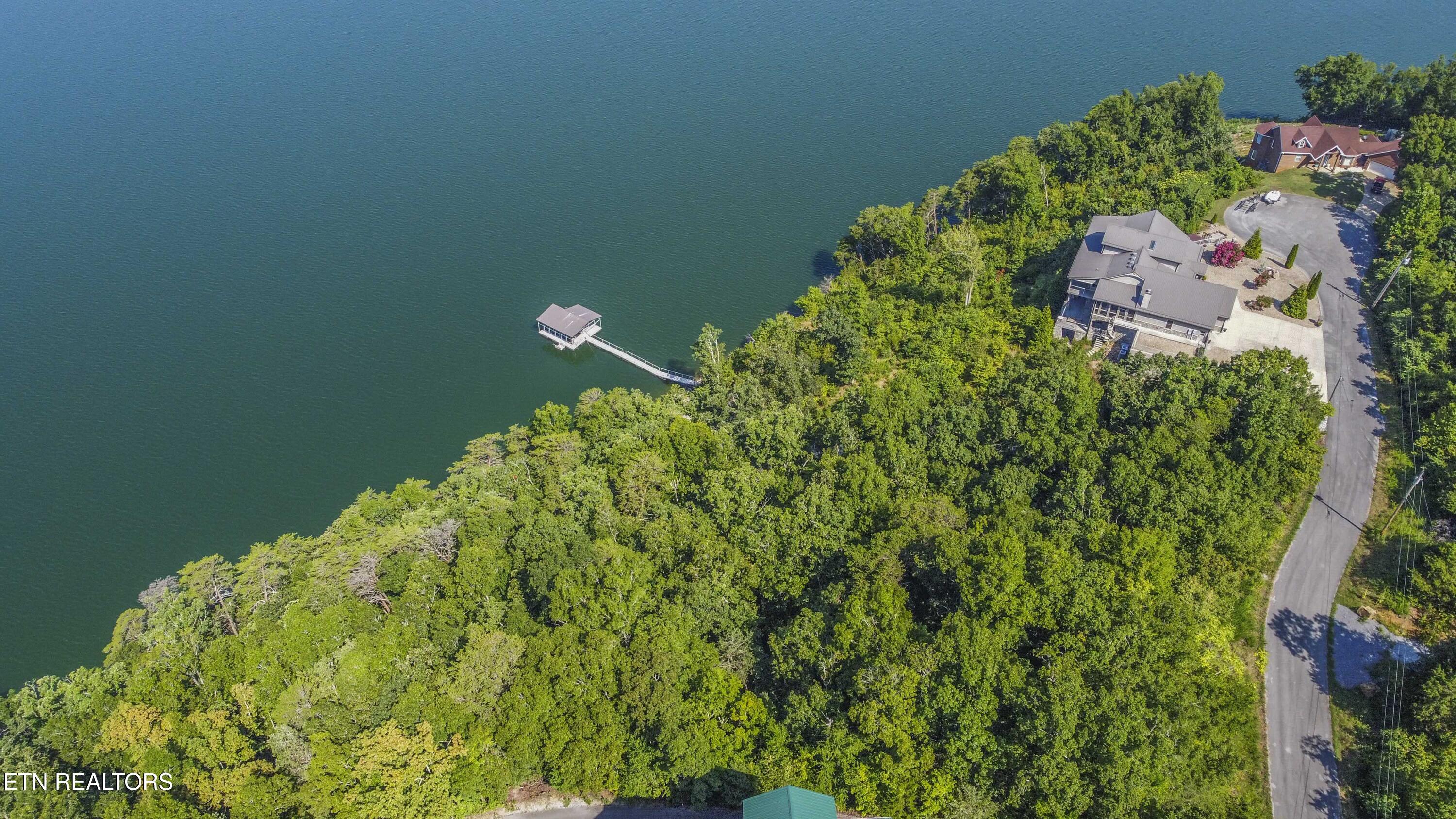 Fishtail Cove Dandridge, TN 37725 - Photo 7 of 15 drone 1_1