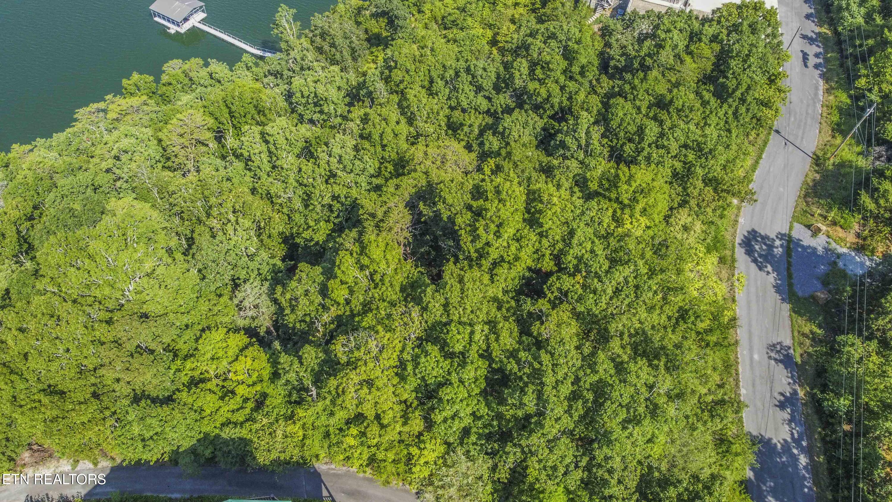 Fishtail Cove Dandridge, TN 37725 - Photo 8 of 15 drone_1